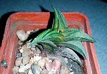     
: 20160920_125949.jpg
: 8
:	134.4 
ID:	11503619