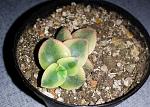     
: 20160920_125921.jpg
: 13
:	149.2 
ID:	11503629