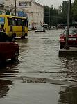     
: M97p01zViXM.jpg
: 58
:	97.6 
ID:	11503663