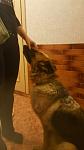     
: GGGndvwlC9A.jpg
: 14
:	50.1 
ID:	11506225