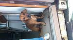    
: 1474443273379634277166.jpg
: 29
:	105.2 
ID:	11506720