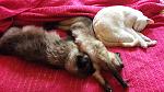     
: 20160918_154812.jpg
: 6
:	131.5 
ID:	11507836