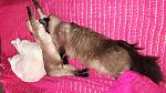     
: 20160918_154801.jpg
: 5
:	160.3 
ID:	11507837