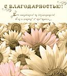     
: tmp_19590-3280257486764046.jpg
: 17
:	101.4 
ID:	11508007