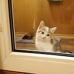     
: _20160921_230623.jpg
: 8
:	73.9 
ID:	11508705