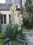     
: IMG_0647.jpg
: 18
:	151.9 
ID:	11513325