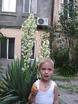     
: IMG_0645.jpg
: 19
:	137.4 
ID:	11513334