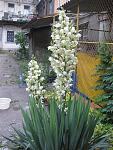     
: IMG_0649.jpg
: 21
:	145.3 
ID:	11513335