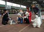     
: DSC05159.jpg
: 12
:	118.0 
ID:	11520725
