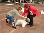     
: DSC05134(1).jpg
: 12
:	101.6 
ID:	11520726