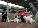     
: DSC05157.jpg
: 23
:	117.9 
ID:	11520727
