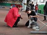     
: DSC05149(1).jpg
: 14
:	108.8 
ID:	11520729