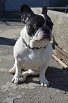     
: DSC_0897.jpg
: 22
:	90.6 
ID:	11520895