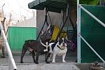     
: DSC_0881.jpg
: 23
:	129.9 
ID:	11520896