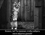     
: .jpg
: 31
:	91.0 
ID:	11521063