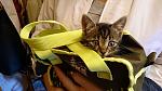     
: DSC_2024.JPG
: 18
:	105.1 
ID:	11521678