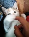     
: _20160924_225914.JPG
: 21
:	145.2 
ID:	11521680