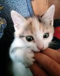     
: _20160924_225954.JPG
: 39
:	130.6 
ID:	11521681