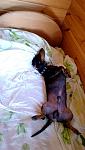     
: IMG_20160905_111624.jpg
: 15
:	113.2 
ID:	11523097