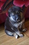     
: 9zsRwVDl1-E.jpg
: 13
:	83.5 
ID:	11524520