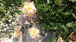     
: 20160928_173400.jpg
: 8
:	168.7 
ID:	11528382