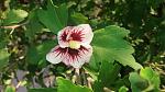     
: 20160928_173411.jpg
: 10
:	99.8 
ID:	11528385