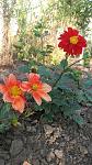    
: 20160928_173457.jpg
: 7
:	120.9 
ID:	11528388