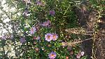     
: 20160928_173514.jpg
: 13
:	255.2 
ID:	11528389