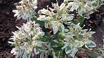     
: 20160928_173540.jpg
: 12
:	152.7 
ID:	11528390