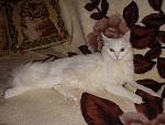     
: DSC03692.JPG
: 21
:	86.3 
ID:	1152846