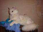     
: DSC03932.JPG
: 22
:	61.3 
ID:	1152847