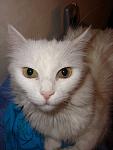     
: DSC03936.JPG
: 19
:	70.4 
ID:	1152850