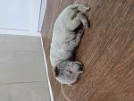     
: 20160917_162816.jpg
: 45
:	118.2 
ID:	11530179