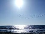     
: IMG_20161001_092135.jpg
: 20
:	279.9 
ID:	11533904