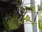     
: 1475334589318-176953485.jpg
: 13
:	119.8 
ID:	11535035