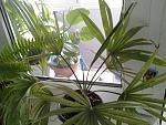     
: 1475334635456-637832305.jpg
: 17
:	152.5 
ID:	11535037