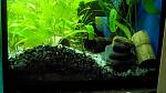     
: 20161001105502.jpg
: 11
:	115.0 
ID:	11535832