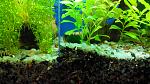     
: 20161001105546.jpg
: 9
:	167.8 
ID:	11535833