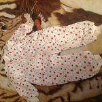     
: IMG_1416.jpg
: 34
:	133.7 
ID:	11535986
