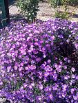     
: P61001-112556.jpg
: 34
:	291.7 
ID:	11536808