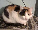     
: Ляля1.jpg
: 5
:	45.2 
ID:	11536869
