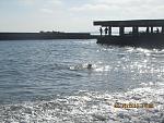     
: IMG_0338.jpg
: 35
:	186.7 
ID:	11538796