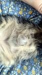     
: DSC_1983.jpg
: 13
:	76.1 
ID:	11543347