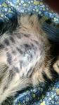     
: DSC_2014.jpg
: 15
:	89.7 
ID:	11543348