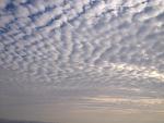     
: IMG_1254.jpg
: 22
:	84.5 
ID:	11544658