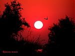     
: 0000019954-96340-3686730-m750x740[1].jpg
: 55
:	117.6 
ID:	115451