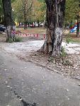     
: IMG_7128.jpg
: 21
:	179.5 
ID:	11545468