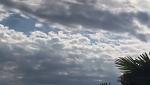     
: IMG_0724.jpg
: 21
:	35.1 
ID:	11548209