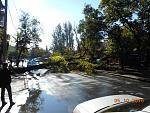     
: DSCN0089.JPG
: 110
:	218.5 
ID:	11548456
