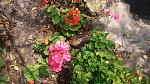     
: 20161004_121630.jpg
: 28
:	214.1 
ID:	11552778